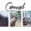 iThemes DisplayBuddy Carousel 2.0.36 GPL Plugins