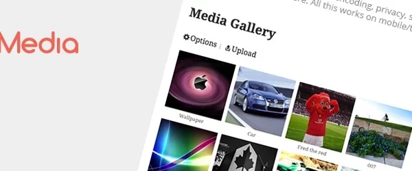 rtMedia Pro 4.6.7 GPL Plugins