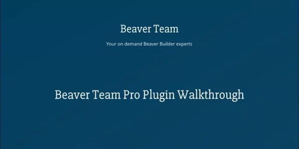 Beaver Team Pro 1.2.18 GPL Plugins
