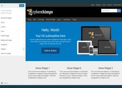 CyberChimps CyberChimps Pro Features WordPress Plugin 1.2 GPL Plugins
