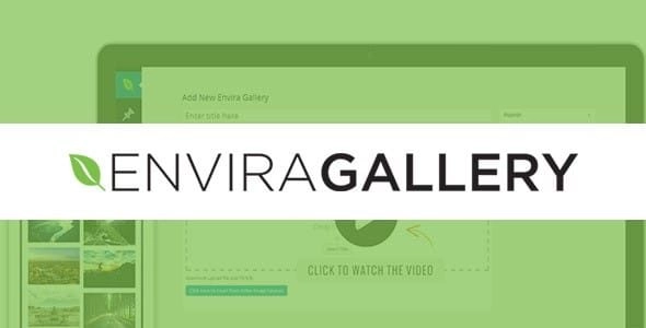 Envira Gallery Protection Addon 1.3.8 GPL Plugins