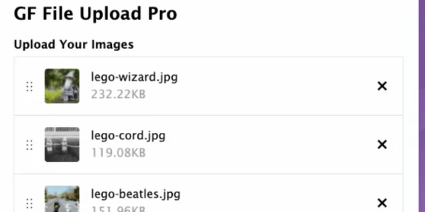 Gravity Forms File Upload Pro 1.4.1 GPL Plugins