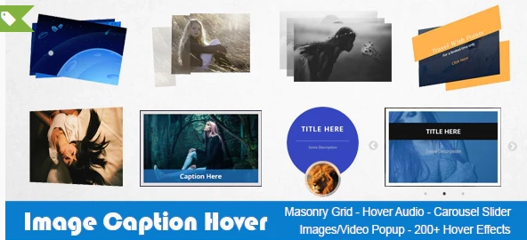 Image Caption Hover Pro WordPress Plugin 19.2 GPL Plugins