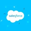WP ERP Salesforce Contacts Sync 1.1.1 GPL Plugins