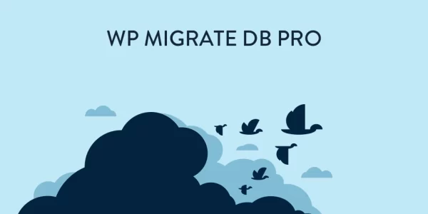 WP Migrate DB Pro Multisite Tools 1.4.1 GPL Plugins