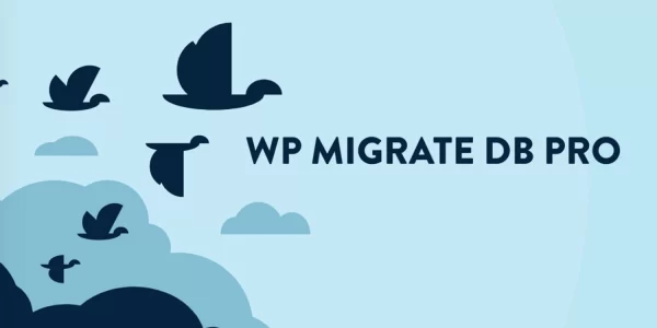 WP Migrate Multisite Tools Addon 1.4.1 GPL Plugins
